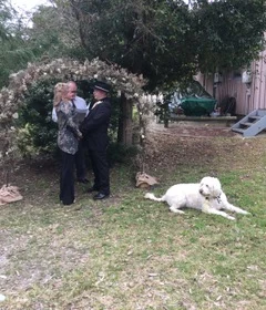 A small backyard ceremony under a flower arch, a white dog lying on the lawn
